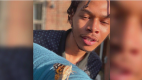 Prince George's County mom pleads for justice for son hit, killed by driver