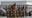 When was the last military parade in DC? A look back at 1991
