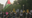 Anti-war protest, organized by pro-Iranian group, underway at Lafayette Park in DC