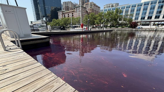 Baltimore oil spill: Emergency crews contain 2,000-gallon diesel leak along city's waterfront