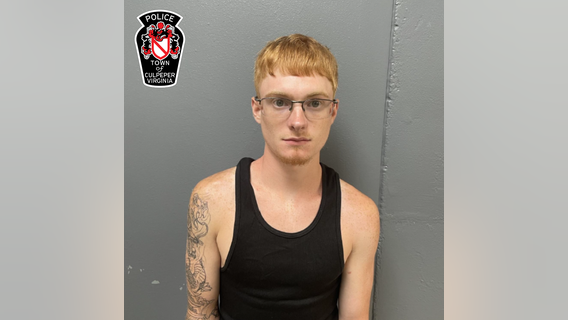 Man drives into crowd of protesters at 'No Kings' rally in Virginia