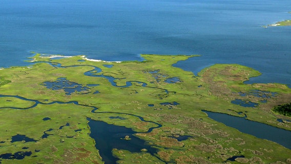 Chesapeake Bay earns a C grade, possibly due to extreme weather
