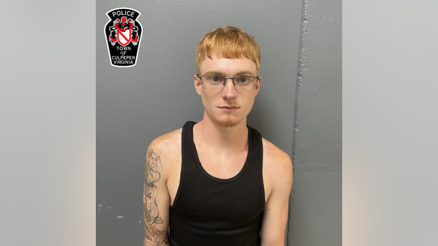 Man drives into crowd of protesters at 'No Kings' rally in Virginia