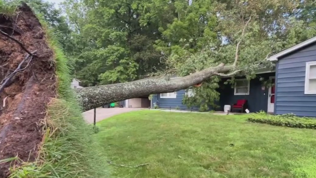 Massive tree falls onto Prince George's County home amid severe storms