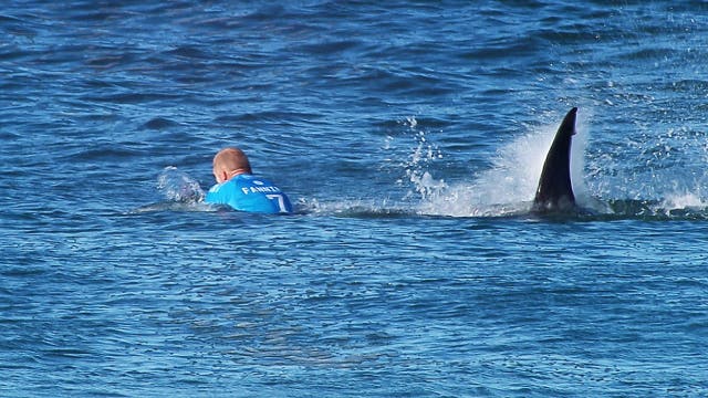 Here's where the most shark attacks have happened – including a handful in Virginia and Maryland