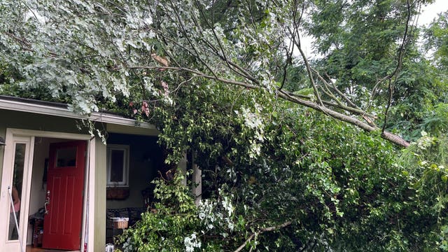 Severe storms leave trail of damage across DC region