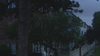 Alexandria residents frustrated with repeated power outages