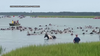 Chincoteague Pony Swim kicks off for 100th year