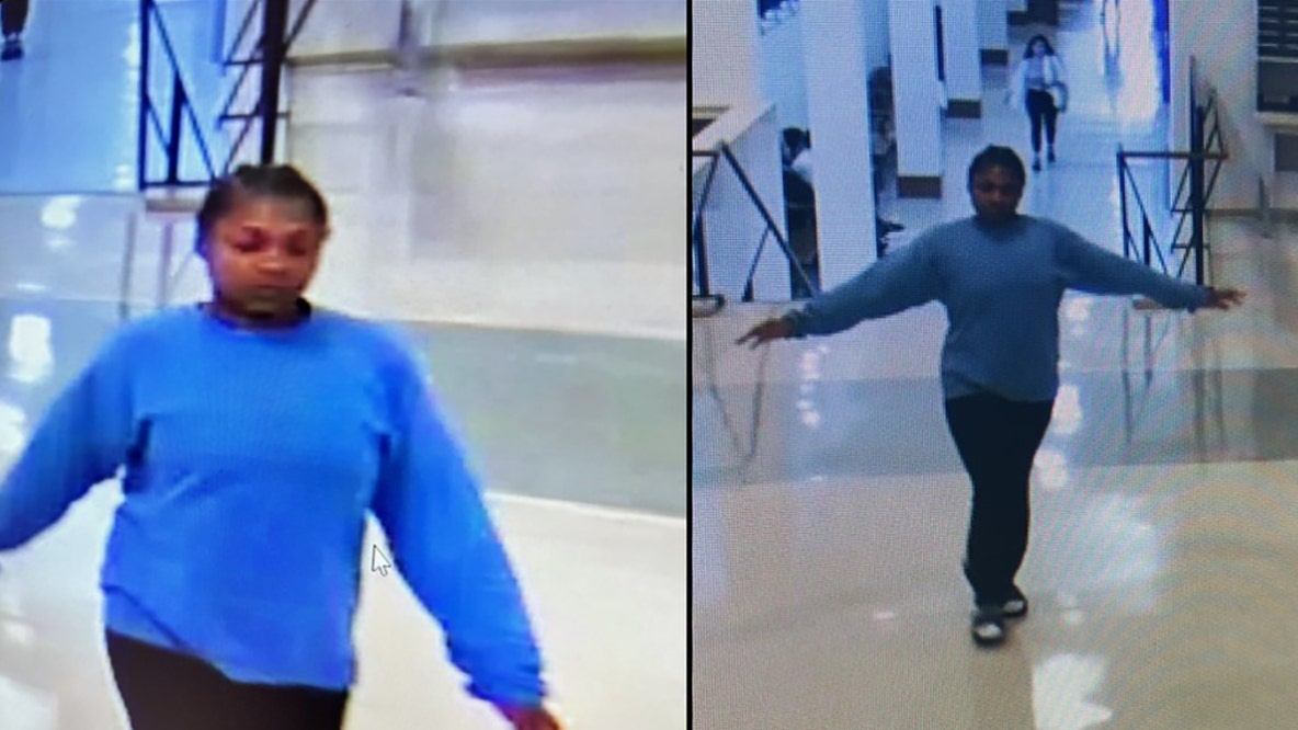 Juvenile on the run after courthouse escape, assault in Leesburg