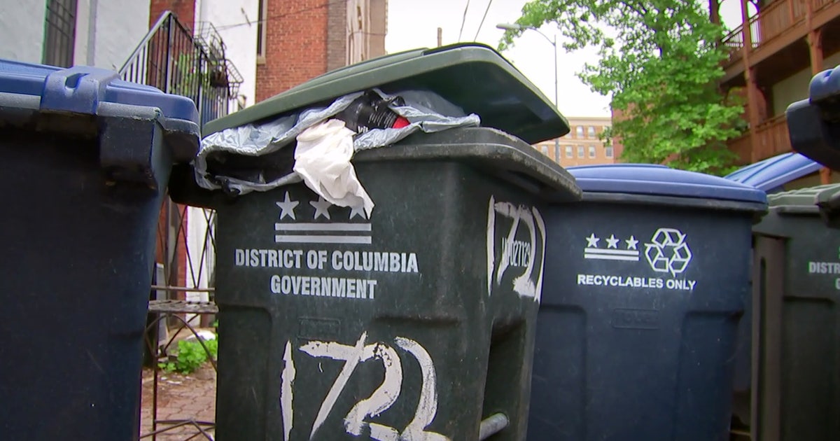 Dc Rat Rodent control academy aims to tackle DC’s rat problem | FOX 5 DC