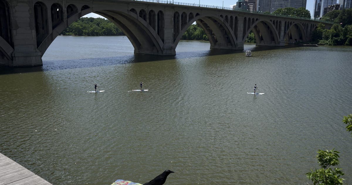 One person in critical condition after being rescued from Potomac River ...