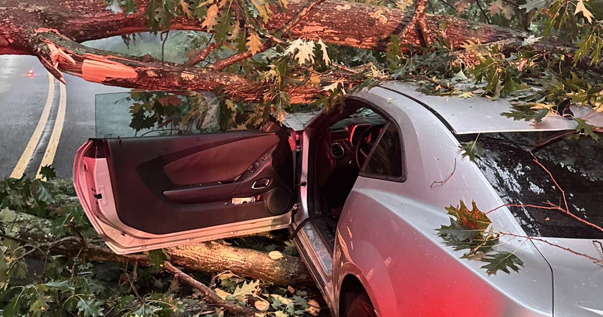 Cleanup underway after severe storms, floods and tornado warning across ...