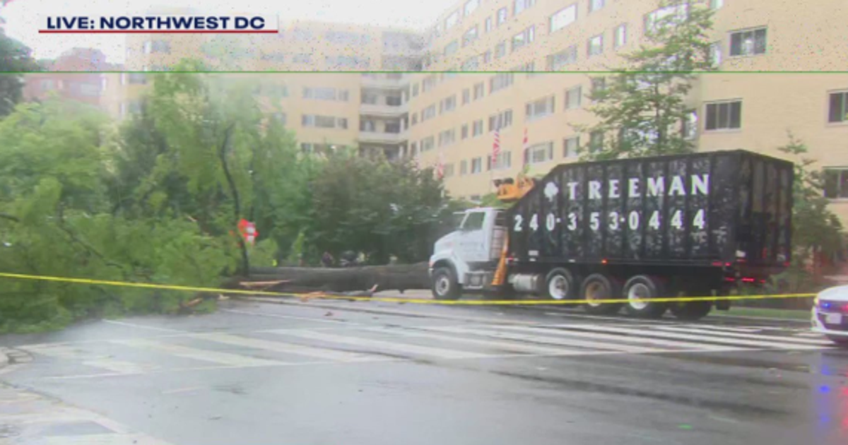 Severe storms cause damage across DMV | FOX 5 DC