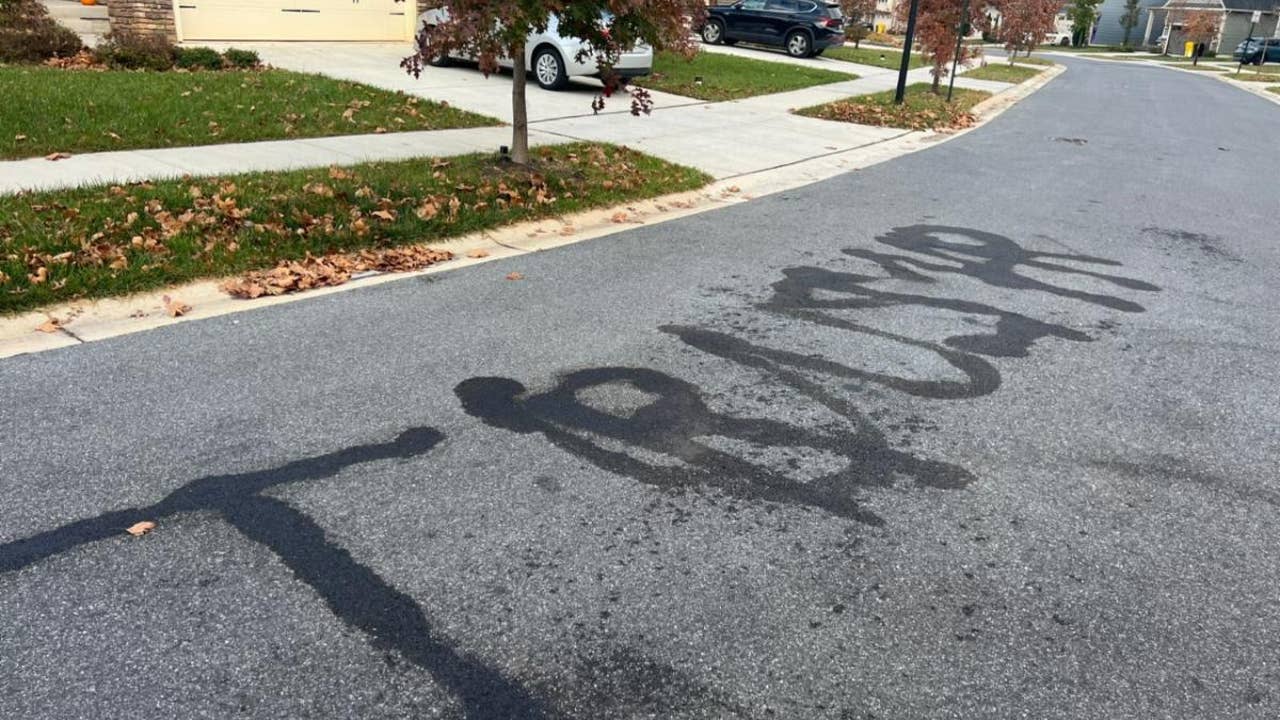 Maryland Man Pleads Guilty to Burning 'Trump', 'USA' Into Road Using Flamethrower