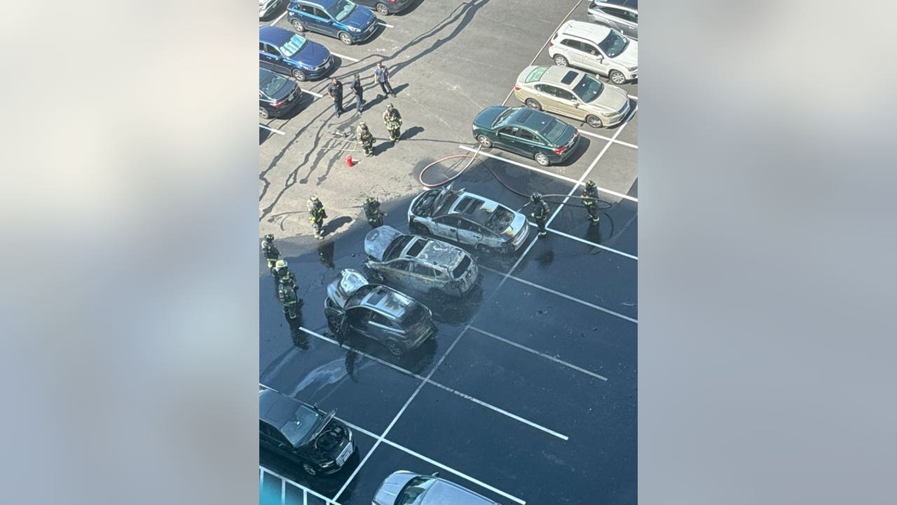 Multiple Vehicle Fires Cause Highway Disruptions in Tennessee, Texas, Virginia, California, UK