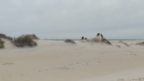 Assateague Island drowning victim identified as Virginia teen