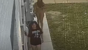 Police search for two suspects in Southeast DC 'bikini' burglary