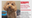 Owners desperate to get back dog, Scrappy, taken from Temple Hills neighborhood