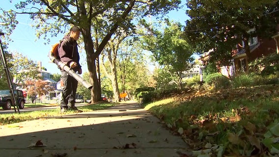 Montgomery County gas-powered leaf blower ban takes effect, exemption proposed