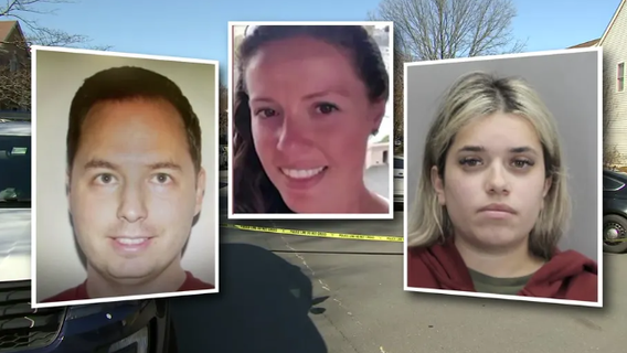 Virginia au pair affair murder: Alleged plot and latest court details