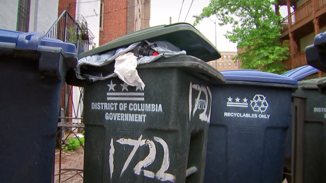 Rodent control academy aims to tackle DC’s rat problem