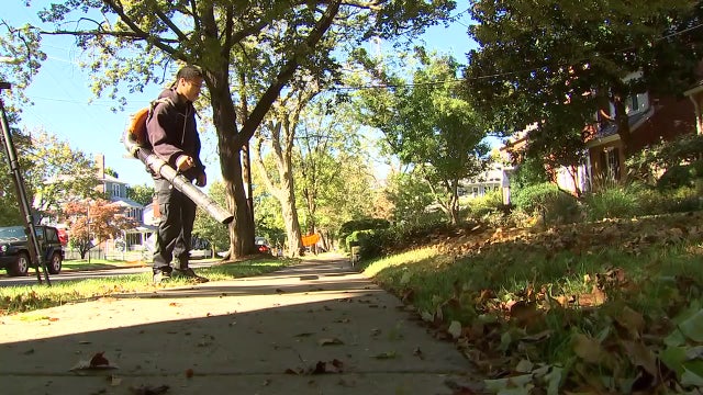 Montgomery County gas-powered leaf blower ban takes effect, exemption proposed
