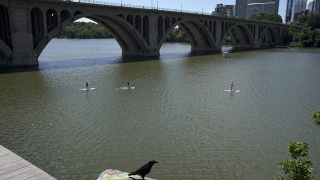 One person in critical condition after being rescued from Potomac River
