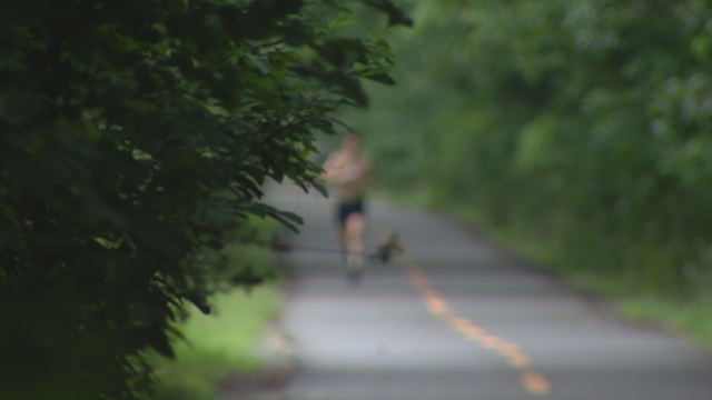 Rock assault injures woman running on Leesburg trail: police