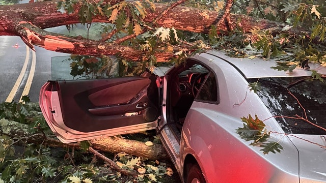 Cleanup underway after severe storms, floods and tornado warning across DMV