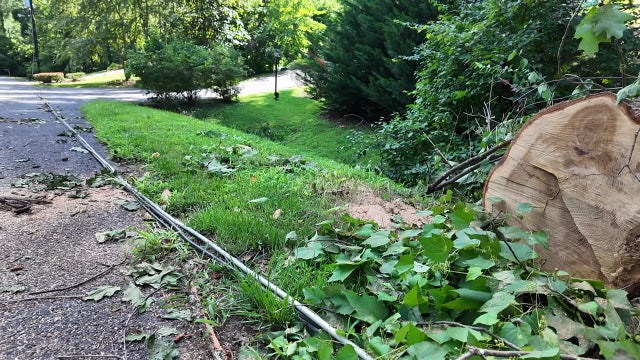 Cleanup continues after flash floods slam the DMV