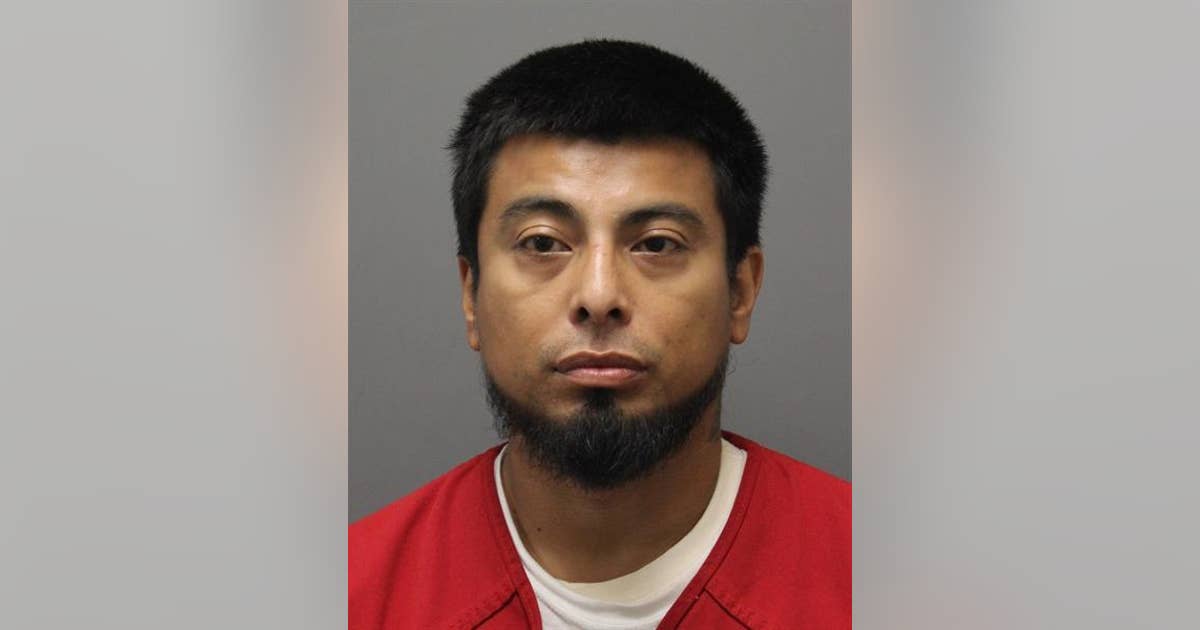 Sterling man faces felony animal cruelty charges after two dogs die in ...