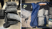 14 vacuum-sealed bags of marijuana seized from luggage at Dulles airport, '$90K street value'