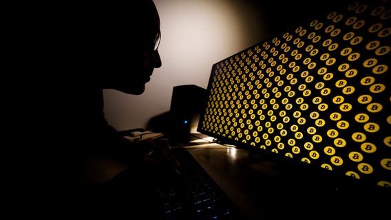 What is ‘pig butchering’? Virginia woman scammed out of $1.3M in crypto fraud