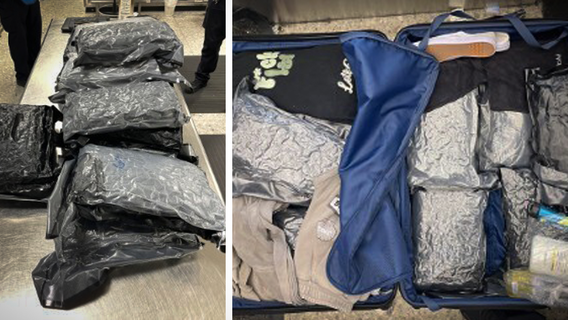 14 vacuum-sealed bags of marijuana seized from luggage at Dulles airport, '$90K street value'
