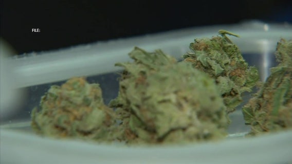 Recreational marijuana sales begin in Delaware: Here is what you need to know