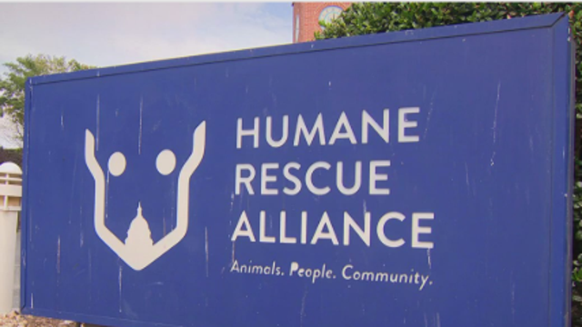 New audit says DC Health did not monitor Humane Rescue Alliance closely enough