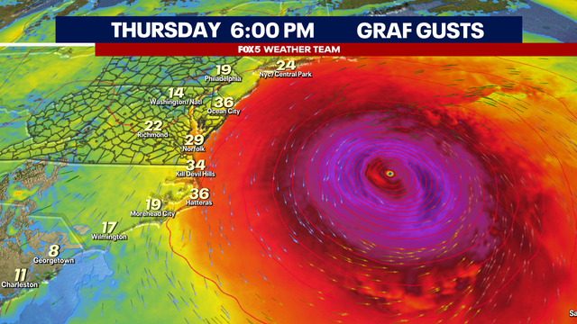 Hurricane Erin brings gusty winds to DMV region Thursday