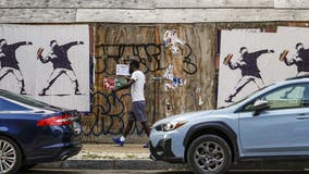 DC 'sandwich thrower' pleads not guilty to misdemeanor assault