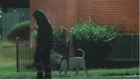 3 injured, at least 2 juveniles, in alleged dog attack in Prince George's County