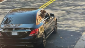 Woman killed after being struck by hit-and-run driver, police officer in Hybla Valley