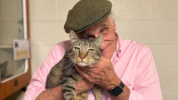 Microchip reunites missing cat with Virginia family after 2 years