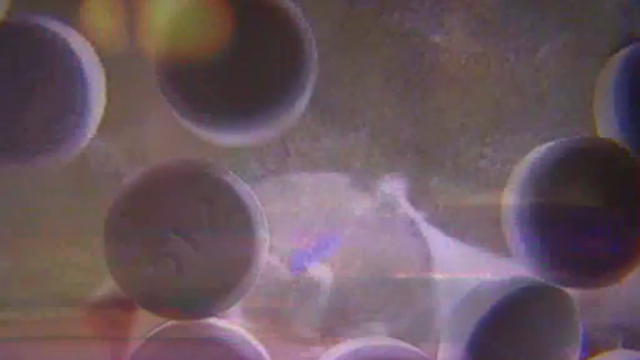 Nearly half of Northern Virginians impacted by substance abuse, new study shows