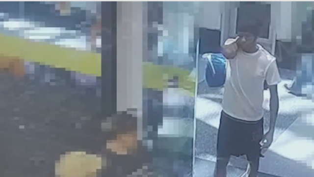 Expensive Prada bag stolen from security guard at Lidl in DC