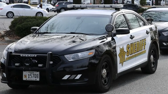 Treadmill with toys attached hints at dog fighting, 5 pit bulls rescued in Maryland: police