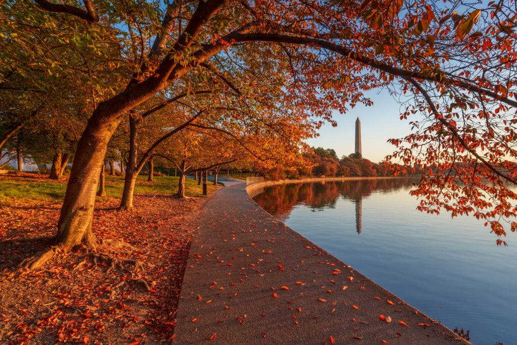 Final stretch of summer: When to expect peak fall colors in the DC region