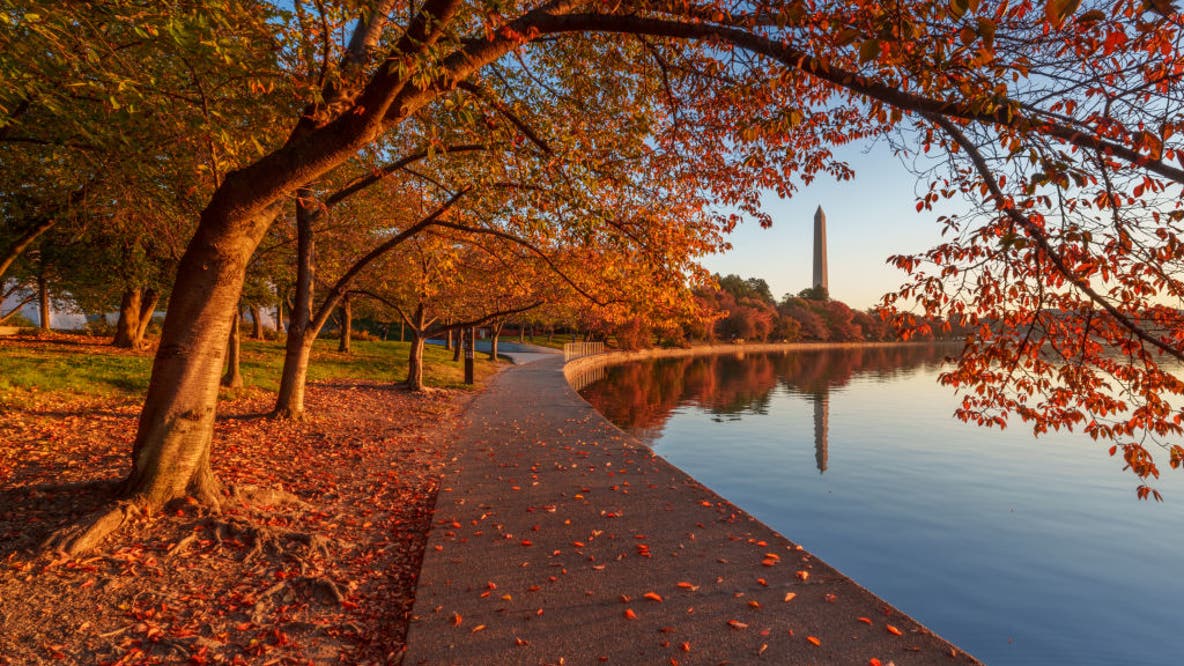 Final stretch of summer: When to expect peak fall colors in the DC region