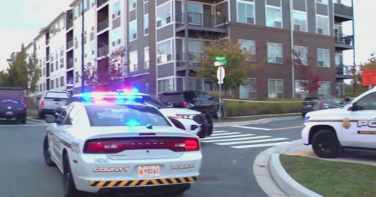 Woman in custody after standoff, alleged stabbing in Montgomery County ...