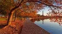 Leaf collection begins in DC Monday
