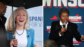 Analyst makes prediction for Virginia ahead of Election Day | Oct. 31 Virginia election update