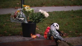 11-year-old girl struck, killed by school bus identified